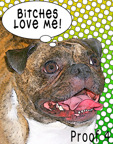 Custom pug portraits from pop art pet