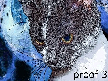 custom cat portrait and gifts