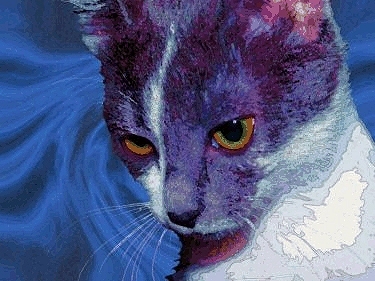 custom cat art
