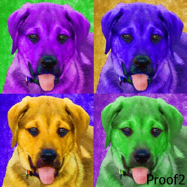 Rhodesian Ridgeback 