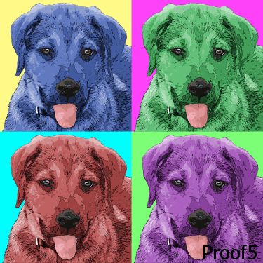 portrait of a Rhodesian Ridgeback 