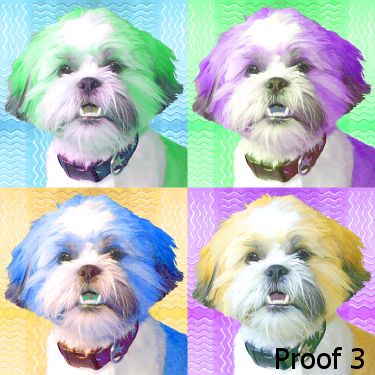 Breed specific Shih Tzu Portraits