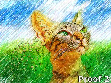 pop art pet cat portraits