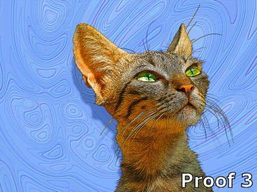 custom cat portraits and gifts