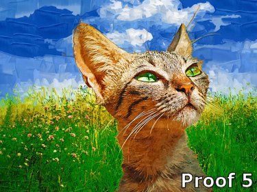 cat portraits and gifts