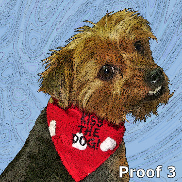Yorkie Terrier Custom portrait