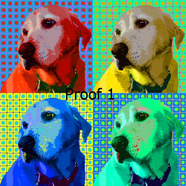 Yellow Lab portraits and art