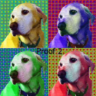 Yellow Lab