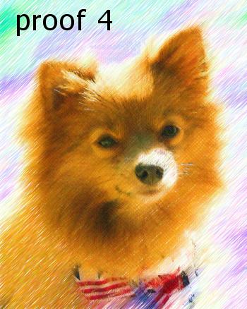 Breed Art poeranian portraits and gifts