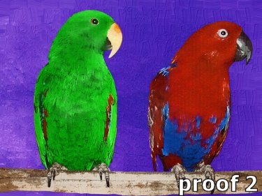 Custom Pet Portrait