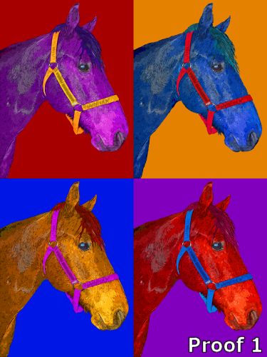 pop art horse