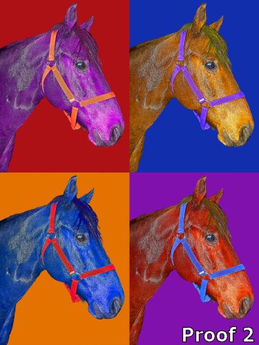 Custom horse portrait