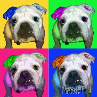 Custom English Bulldog Art