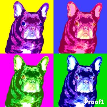 French Bulldog portraits 