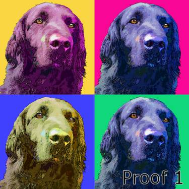 pet pop art dog portrait