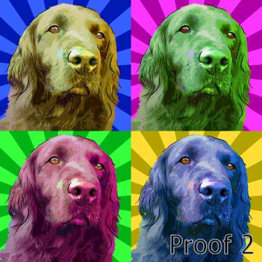 dog pop art portrait