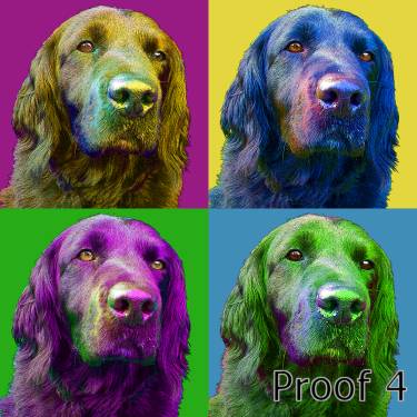 Custom dog pop art portraits