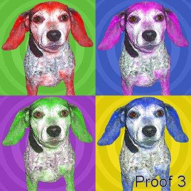Warhol style pop art dog portrait Beagle