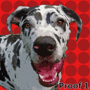 Pop styled art from your photos custom Great Dane art
