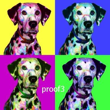 Art Dalmation portrait