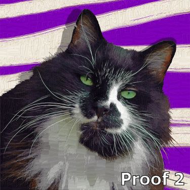 warhol inspired cat art