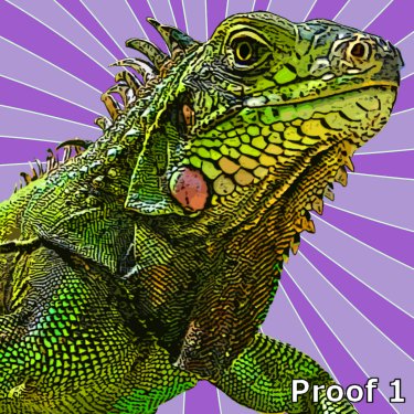 Iguana portraits and art