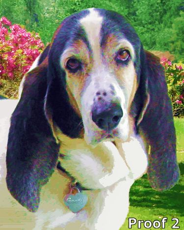 Bassett Hound breed specific portraits