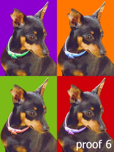 unique dog portraits and Miniature Pinscher art