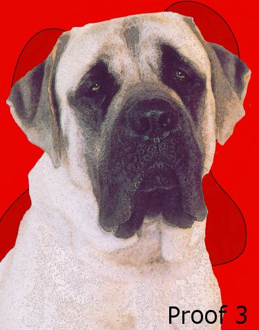 Mastiff portraits