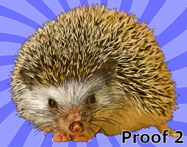 Custom comissioned hedgehog portrait