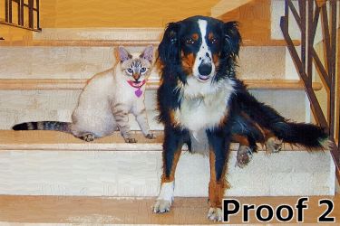 cat and dog art