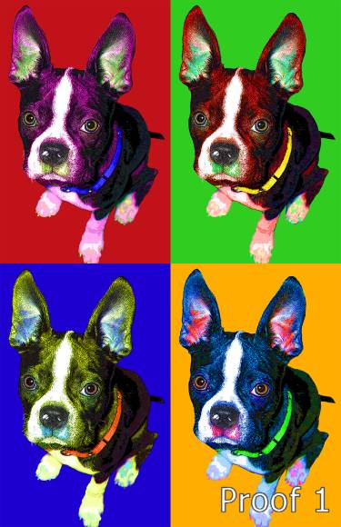 Warhol style Boston Terrier portrait