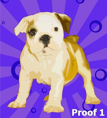 English Bulldog Pop Art Portrait