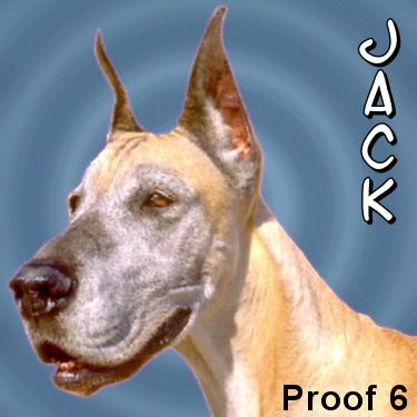 dog portrait and gifts great dane
