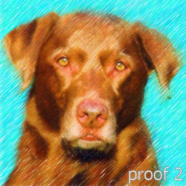 Dog Portraits from your photographs