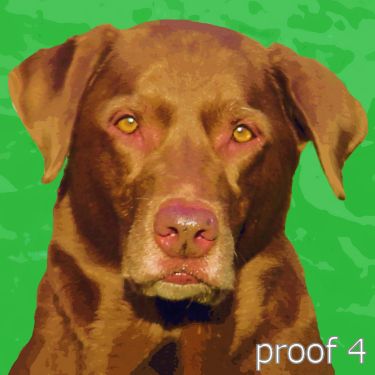 Dog portraits and gifts