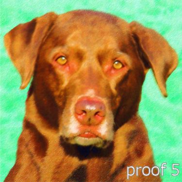 custom dog art