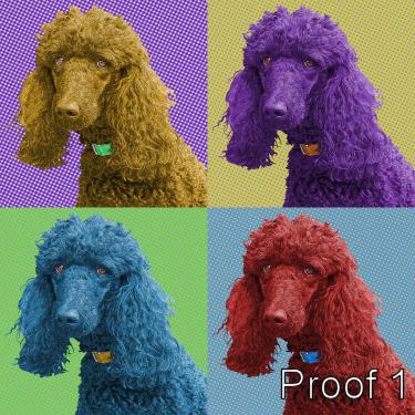 Poodle pop art
