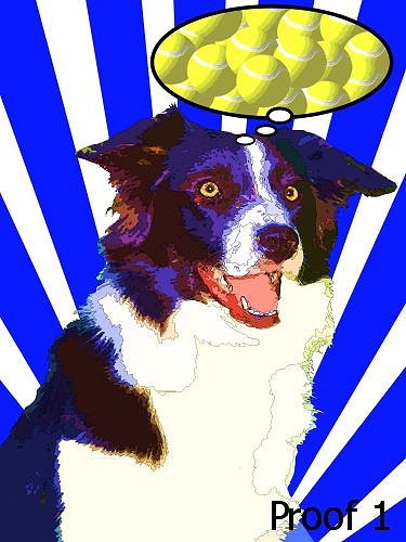 pop art portrait Border Collie