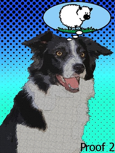 Border Collie pop art portraits