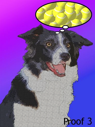 Custom Border Collie pop art