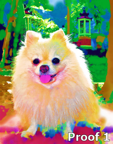 pom portraits for the pomeranian lover