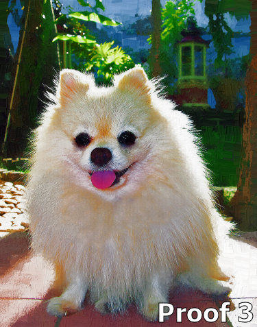 Pomeranian Art Portrait and gift items