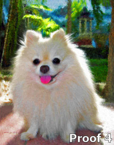 Pomeranian Art Portraits and gifts for the dog lover