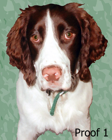spaniel custom art