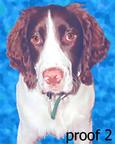 custom pet portrait spaniel