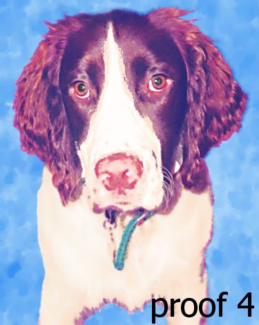 spaniel custom dog portraits