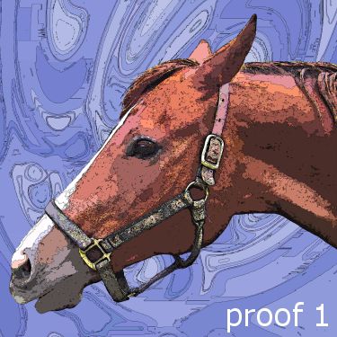 pop art pet portrait equine gifts