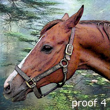 custom equine art