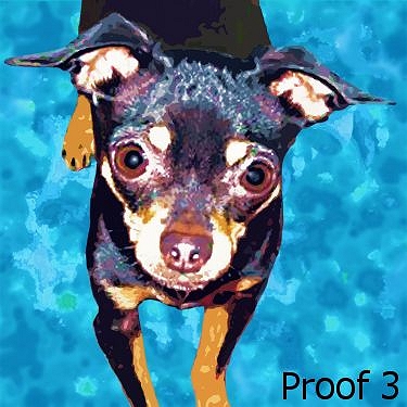 Chihuahua pop art portrait
